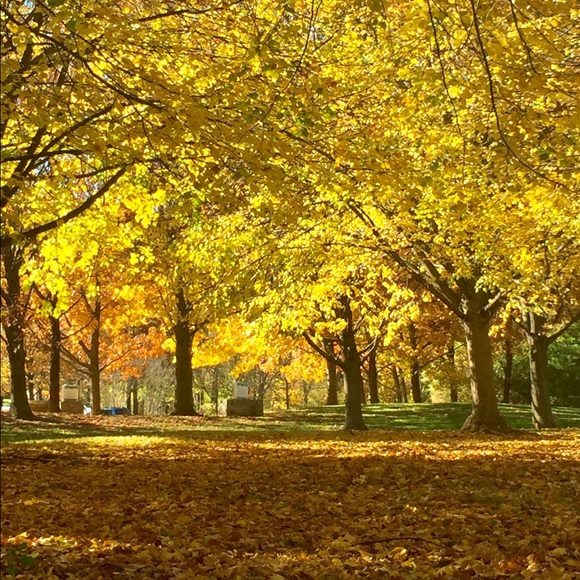 〰️Meet your Posher❤️Wendy〰️ - Picture 8 of 8